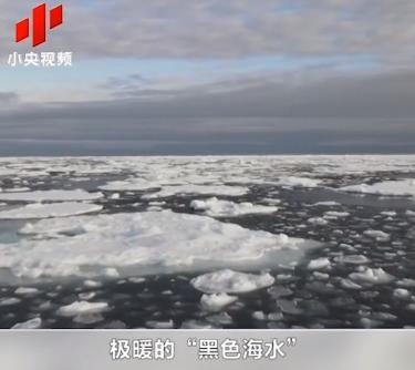 可怕的事发生了！北极惊现黑色海水，“中央空调”或失效？ 